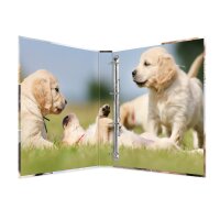 Motiv-Ringbuch A4 Karton 4D-Ring - Hunde