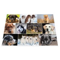 Schreibunterlage 550 x 350 mm Softtouch - Hunde