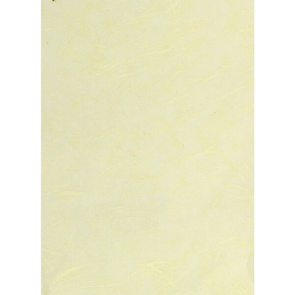 Maulbeerpapier 65x95 elfenb 10Bg