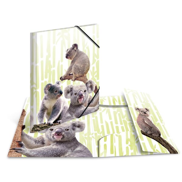 Sammelmappe A4 PP exotische Tiere - Koalo