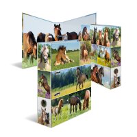 Motiv-Ordner A4 Sortiment Tierwelten - Pferdewiese