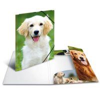 Sammelmappe A3 PP Lieblingstiere - Hunde