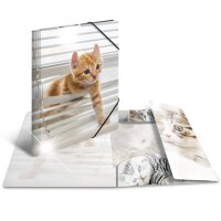 Sammelmappe A3 Glossy Tiere - 10er Sortiment