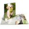 Sammelmappe A3 Glossy Tiere - 10er Sortiment