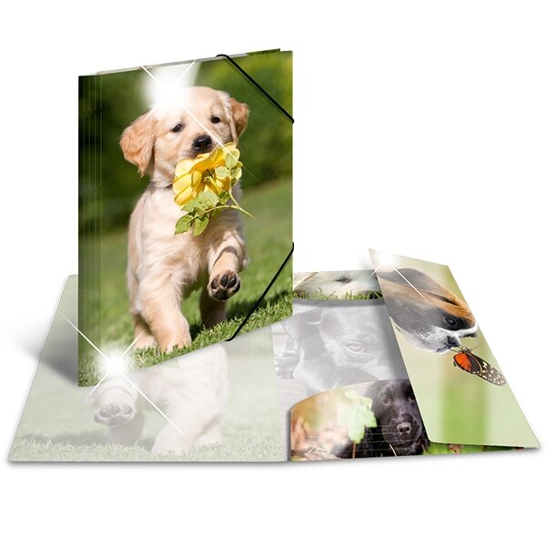 Sammelmappe A3 PP Glossy Tiere - Hunde