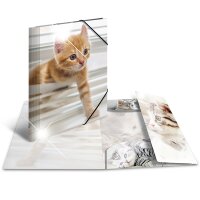 Sammelmappe A4 PP Glossy Tiere - Katzen