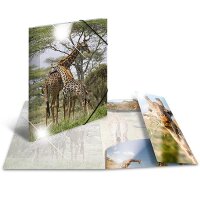 Sammelmappe A4 PP Glossy Tiere - Giraffe