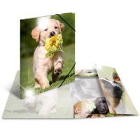 Sammelmappe A4 PP Glossy Tiere - Hunde