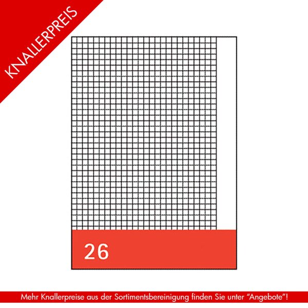 Style Kanzleipapier Lin26 A3 auf A4 250 Bogen 80 g/qm 5mm kariert mit Rand gefalzt