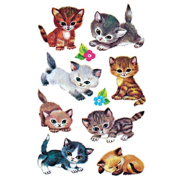 Z-Design Sticker KIDS Katzen
