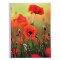 Einsteckalbum Fantaisie, 175 x 230 mm, im Display