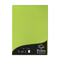 Papier A4 Pollen 120g Minze 50Bl