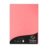 Papier A4 Pollen 120g litschi 50Bl