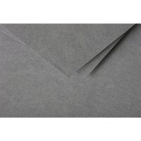 Papier A4 Pollen 120g Dgrau 50Bl