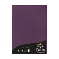 Papier A4 Pollen 120g cassis 50Bl