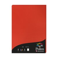 Papier A4 Pollen 120g koralnrt 50Bl