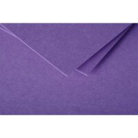 Papier A4 Pollen 210g violett 25 Bl