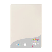 Papier A4 Pollen 210g grau 25 Bl