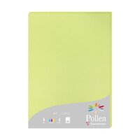 Papier A4 Pollen 210g knospgn 25Bl