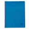 Linicolor Meeting Book A4+ 80bl bl