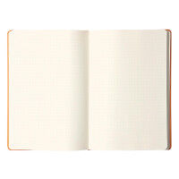 Web Notebook A5 dot or/sw/or