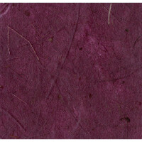 Bananenpapier 65x95/10Bg violett