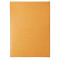 Rhodia Block m Hülle lin 220x308 or