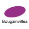 Layoutmarker GRAPHIT Farbe 6170 - Bougainvillea